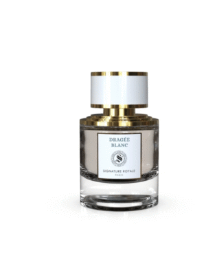 Mango Night Extrait de parfum – intensité fruitée et nocturne